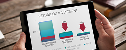 Maximize your return on investment with Egnyte and receive a customized and comprehensive analysis
